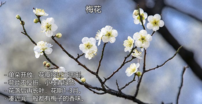 image-20240425174624754